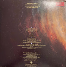 Load image into Gallery viewer, David Sylvian - Gone to Earth US &#39;87 2LP gatefold
