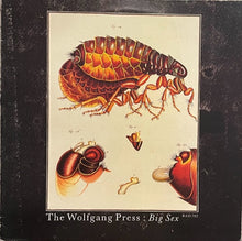 Load image into Gallery viewer, The Wolfgang Press - Big Sex 12&quot; EP UK &#39;87 4AD
