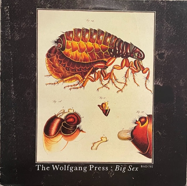 The Wolfgang Press - Big Sex 12