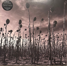 Load image into Gallery viewer, Dead Can Dance - Anastasis US 2012 Clear vinyl
