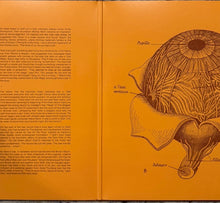 Load image into Gallery viewer, Orbital - The Brown Album UK 2025 2lp Gatefold
