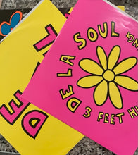 Load image into Gallery viewer, De La Soul - 3 Feet High and Rising US 2013 2LP
