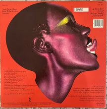 Load image into Gallery viewer, Grace Jones - Portfolio US &#39;77 gatefold
