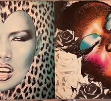 Load image into Gallery viewer, Grace Jones - Portfolio US &#39;77 gatefold
